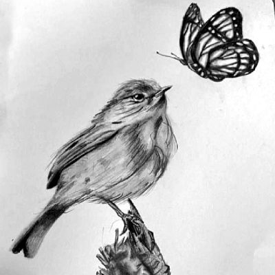 Robin & Butterfly